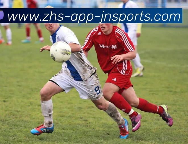 江南体育平台生态图