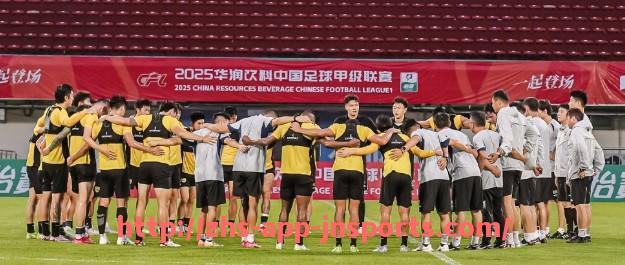 江南体育APP下载-2006年火箭队经典比赛视频合集及比赛数据分析